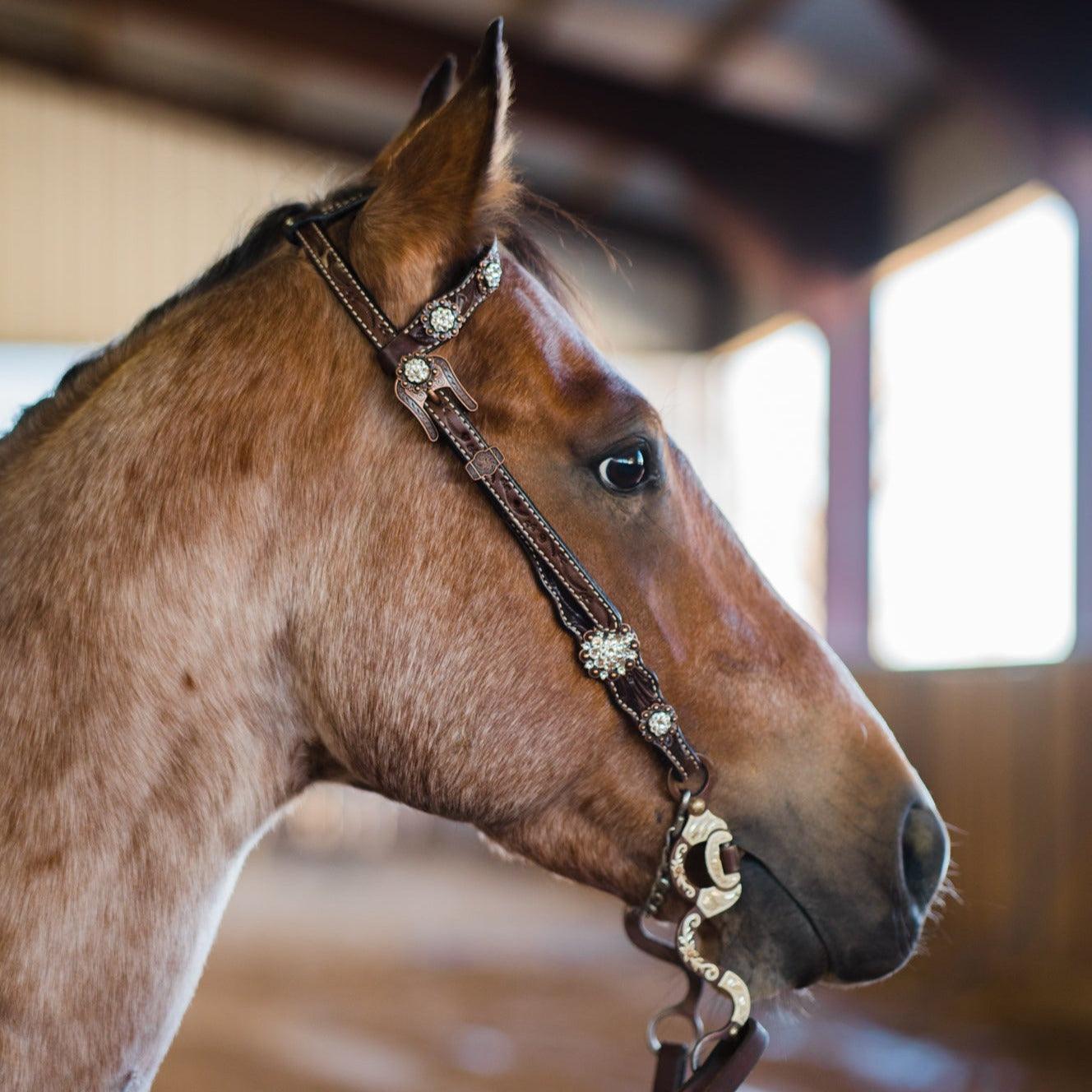 Dark Oil Floral Clear One Ear/ Breastcollar #OEBC517 - RODEO DRIVE