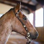 Dark Oil Floral Clear One Ear/ Breastcollar #OEBC517 - RODEO DRIVE