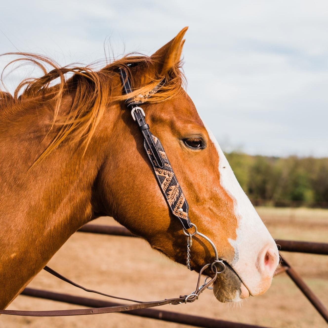 Two Tone Feather & Arrow Studded One Ear Headstall / Bridle #FK114 - RODEO DRIVE