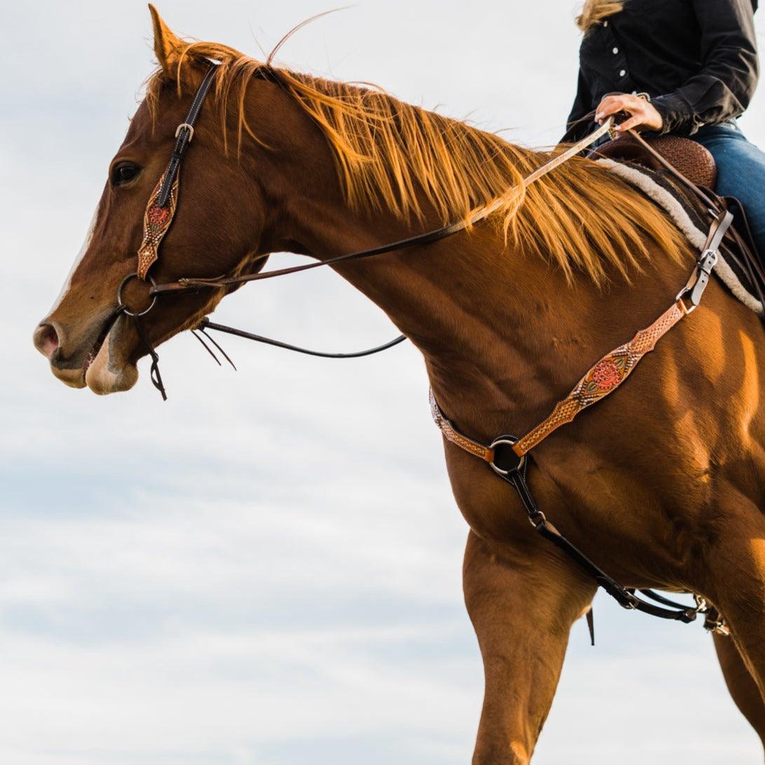 Light Oil Hand Painted Rose Headstall/Breastcollar Set - RODEO DRIVE