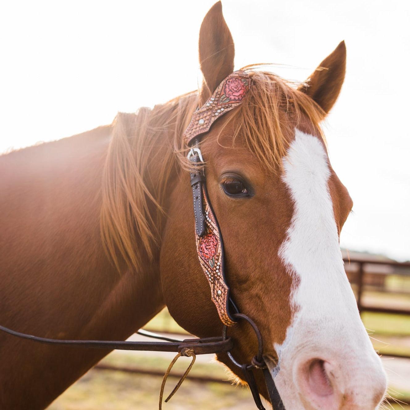 Light Oil Hand Painted Rose One Ear Headstall / Bridle #FK124 - RODEO DRIVE