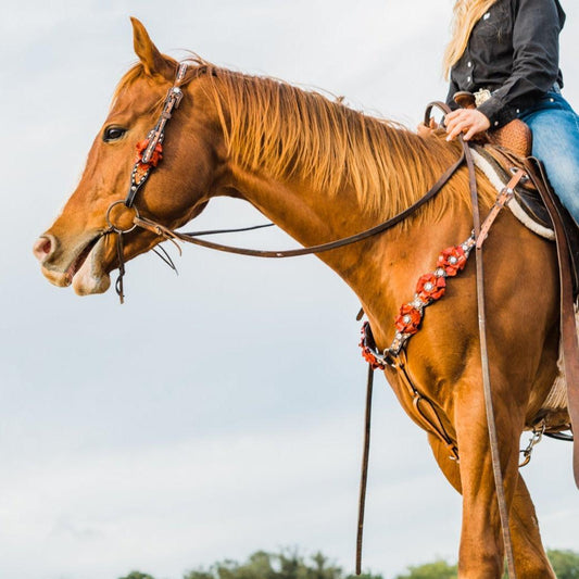 Classic Red Rose and Clear Browband/One Ear Tack Set #OEBC421 - RODEO DRIVE