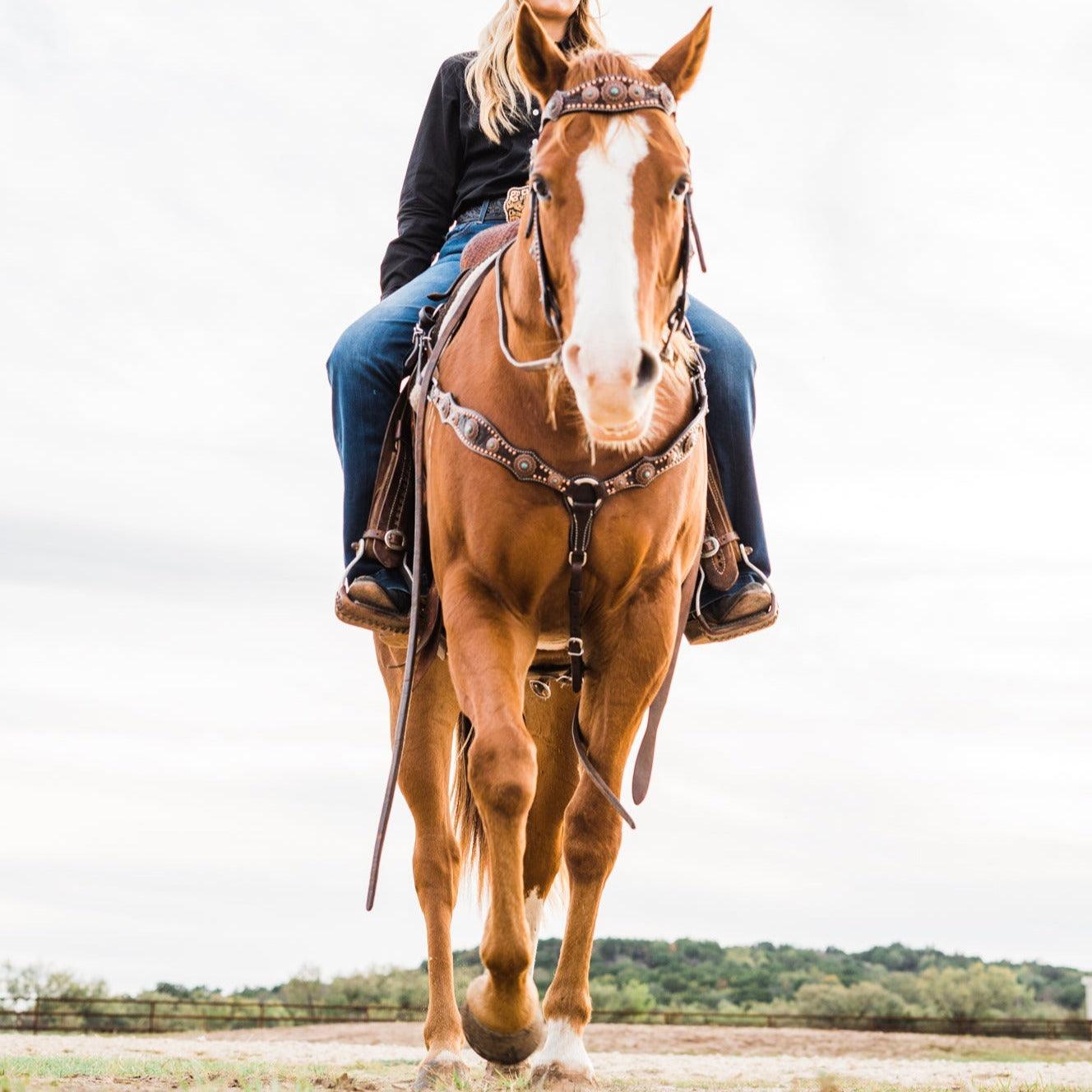 Dark Oil Copper Dot Floral with Turquoise Browband/One Ear Tack Set #BBBC476 - RODEO DRIVE