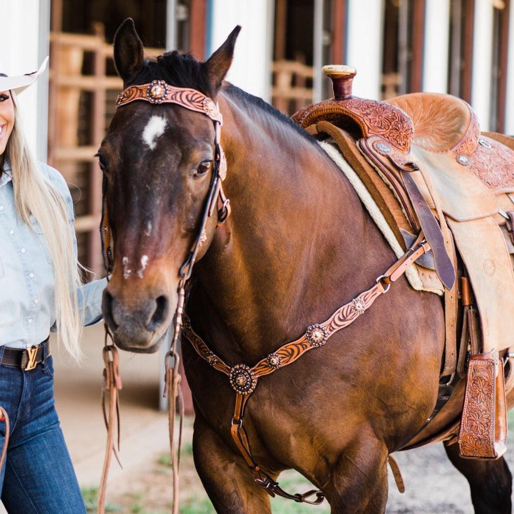 Zebra Jet and Topaz Browband / Breastcollar #BBBC544 - RODEO DRIVE