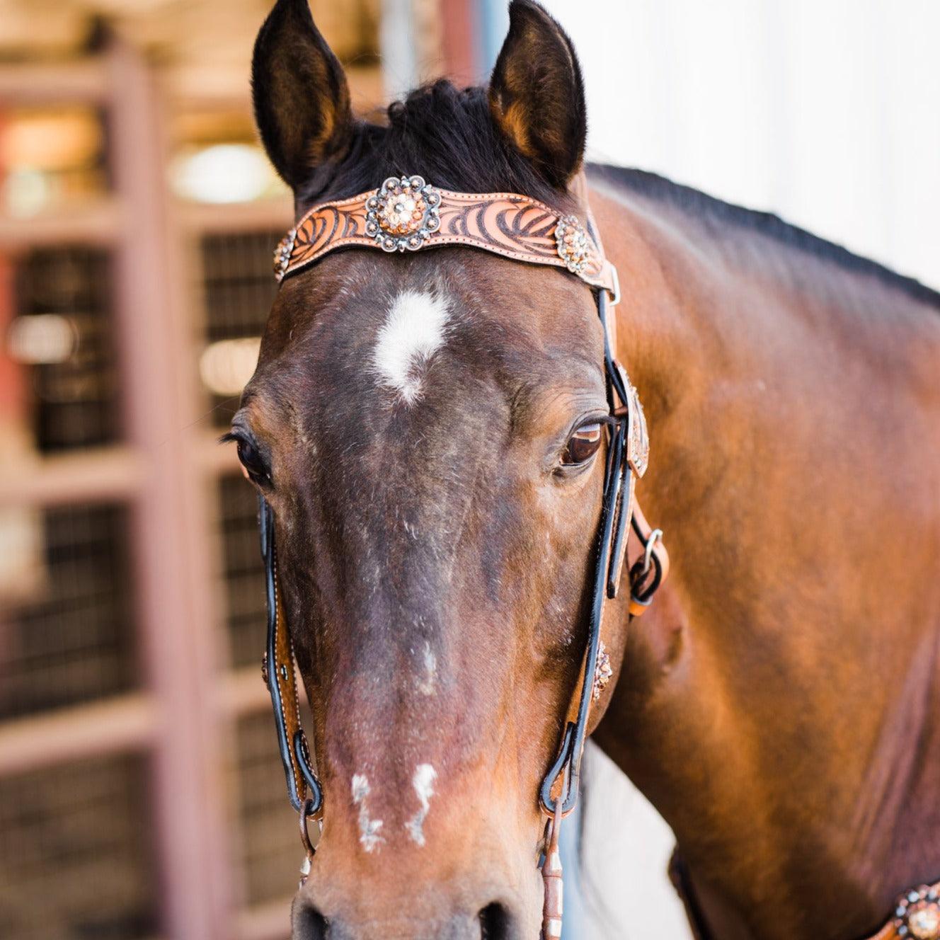 Zebra Jet and Topaz Browband / Breastcollar #BBBC544 - RODEO DRIVE