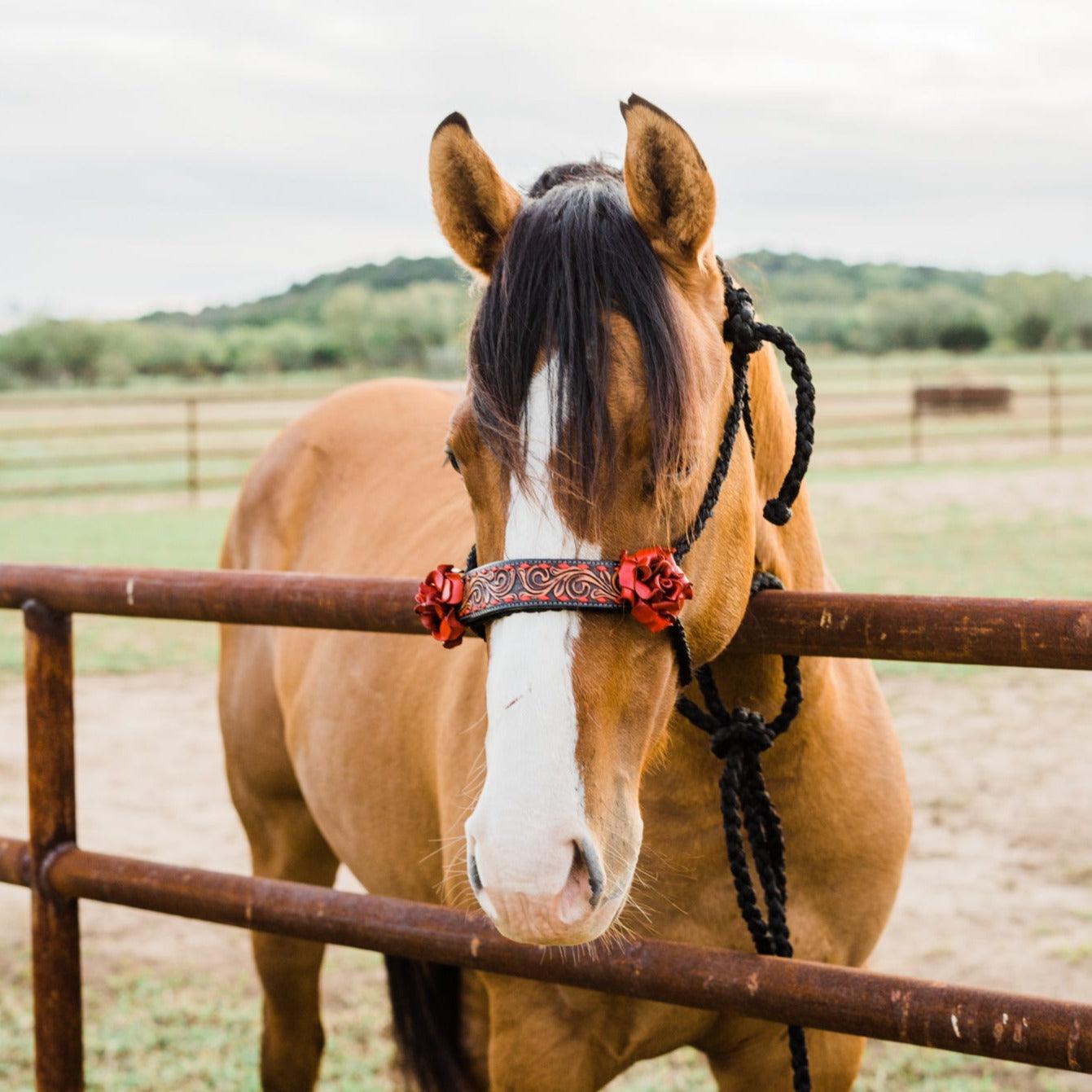 Black Mule Tape Halter - Red Rose #MT200 - RODEO DRIVE