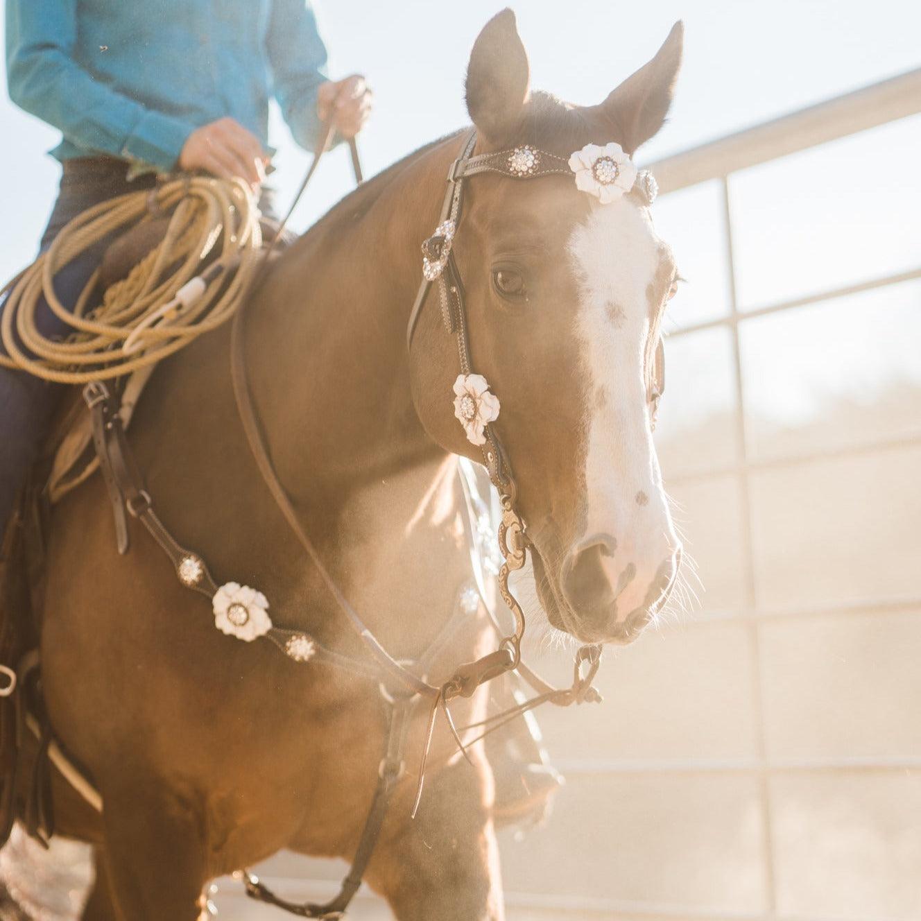 Dark Oil Basketweave White Browband/One Ear Tack Set with Witherstrap #BBBC453 - RODEO DRIVE