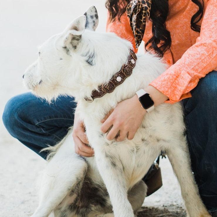 DC30Copper Rose Dog Collar With Clear European Crystals - RODEO DRIVE