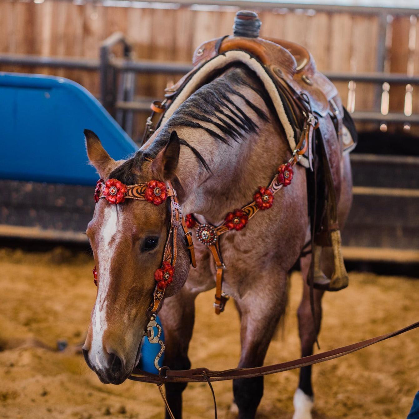 Zebra Ruby Browband / Breastcollar #BBBC512 - RODEO DRIVE