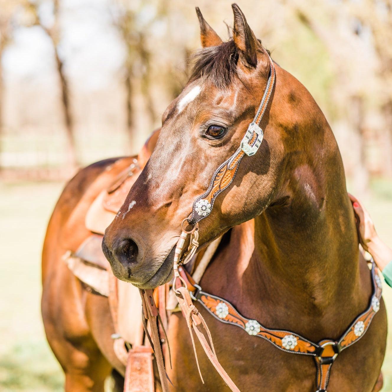 Two Tone Leaf Jet and Clear One Ear & Breastcollar Tack Set #OEBC543 - RODEO DRIVE