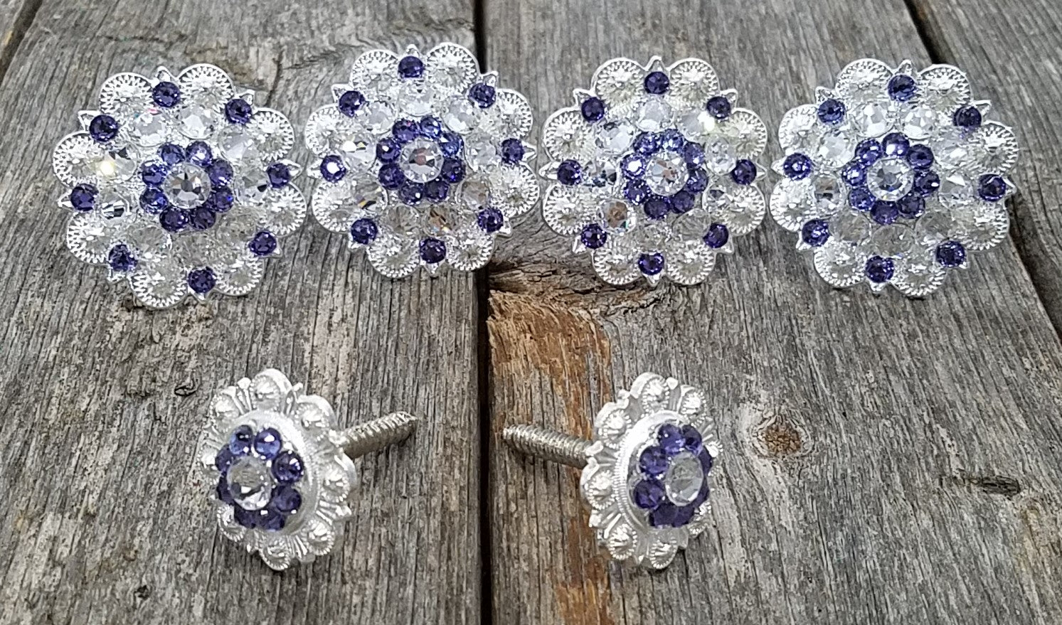 Bright Silver Lilac & Clear Saddle Conchos - RODEO DRIVE