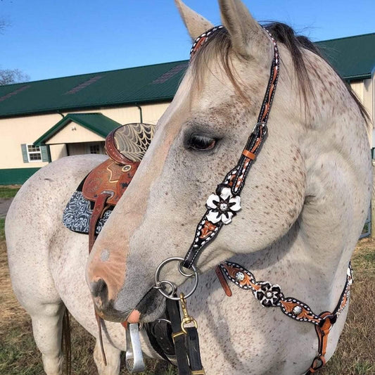 Buckstitch Flower Browband / One Ear Tack Set #BBBC420 - RODEO DRIVE