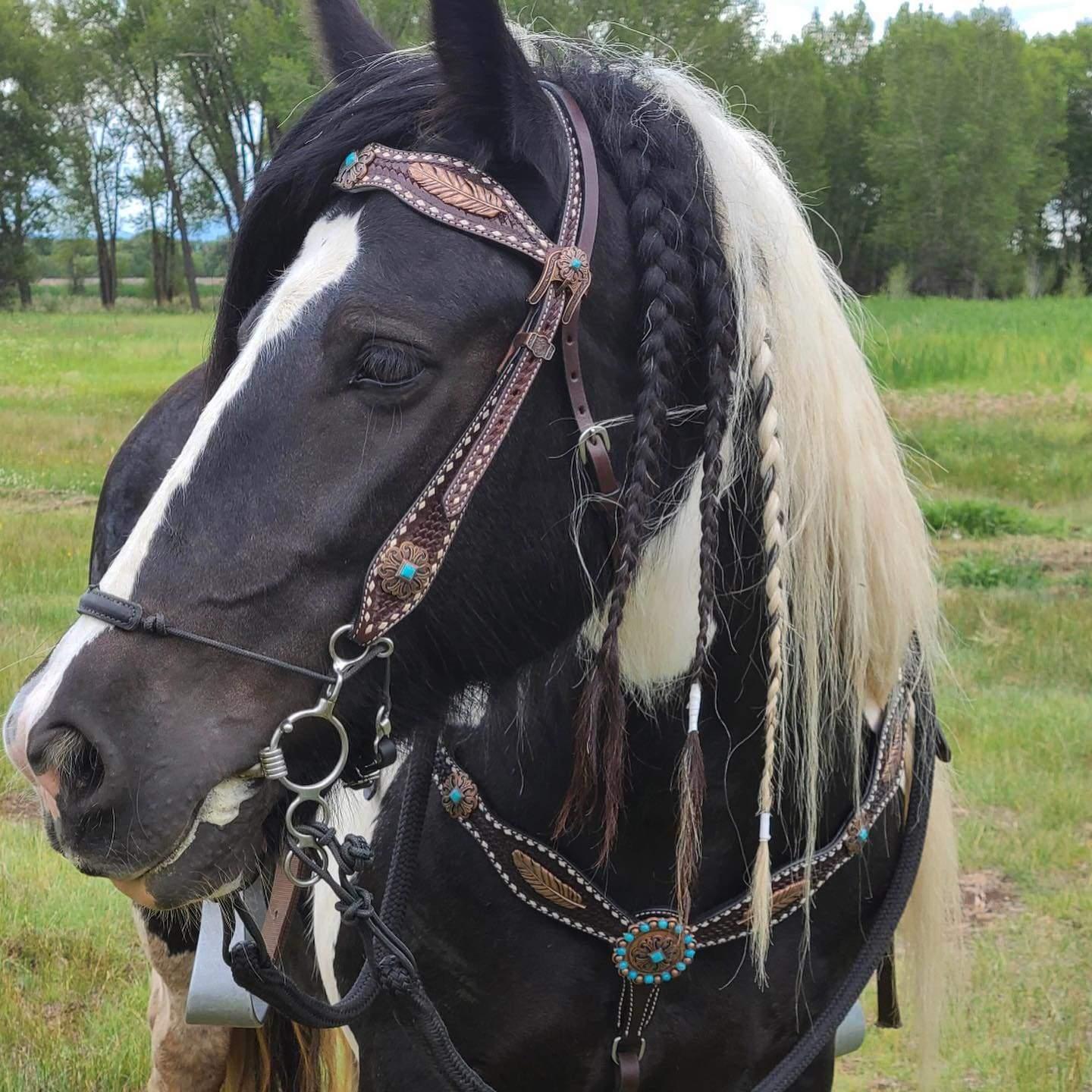 Designer Tack Dark Oil Browband & Breastcollar Buckstitch Turquoise Feather Tack Set BBBC304