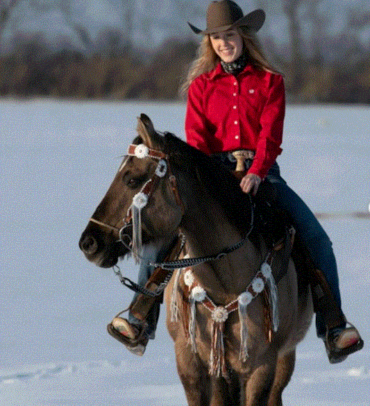 Designer Tack Whipstitch Headstall -Amber & Daisy #BB265 BB265