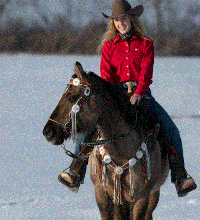 Designer Tack Whipstitch Headstall -Amber & Daisy #BB265 BB265