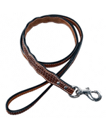 Dog Collars Medium Oil Leather leash 4' x 1" wide DLMD1