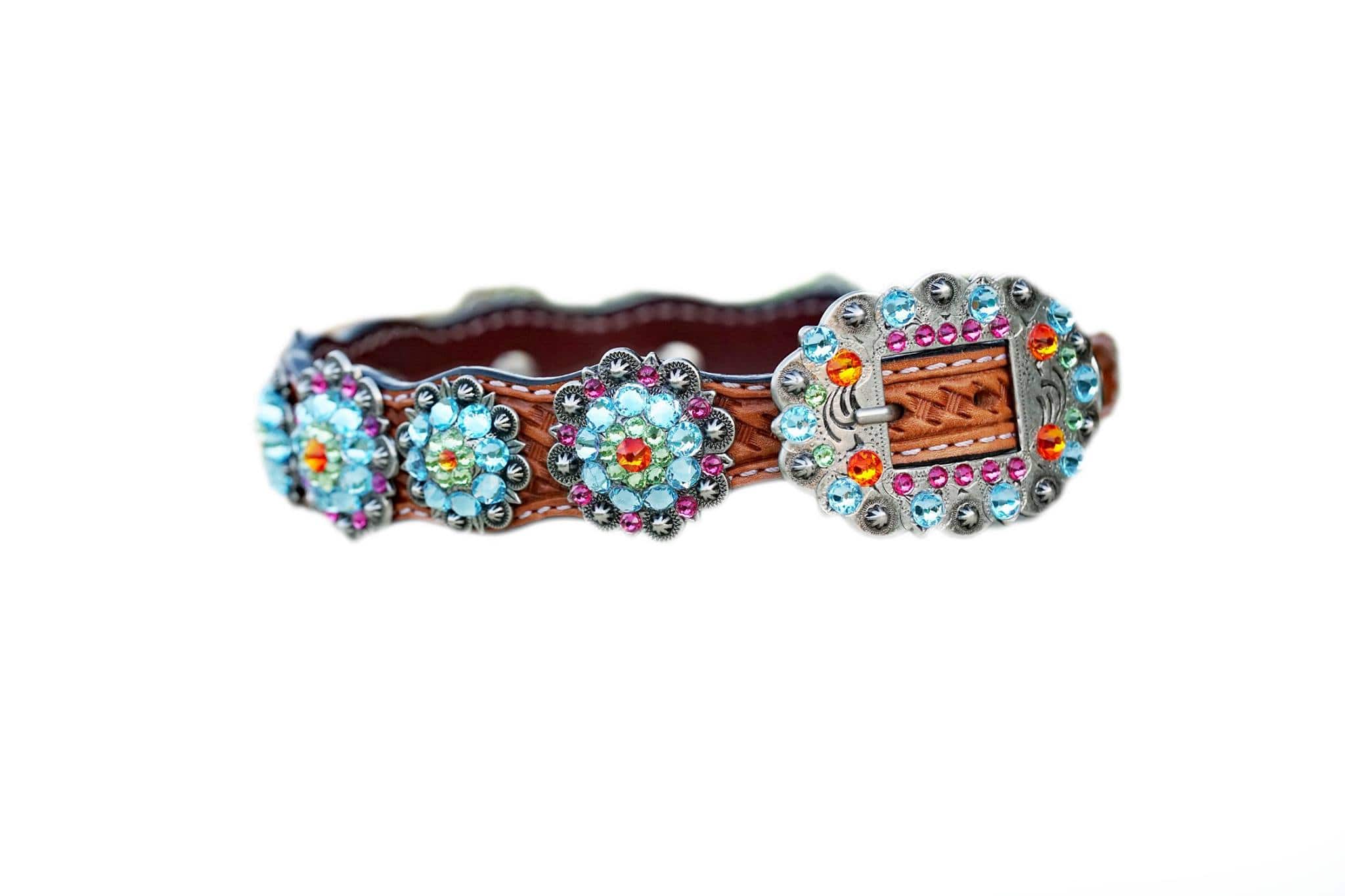 Dog Collars Rainbow Bridge Dog Collar