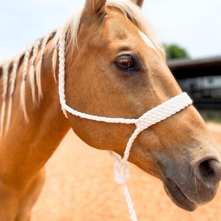 White Mule Tape Halter - RODEO DRIVE